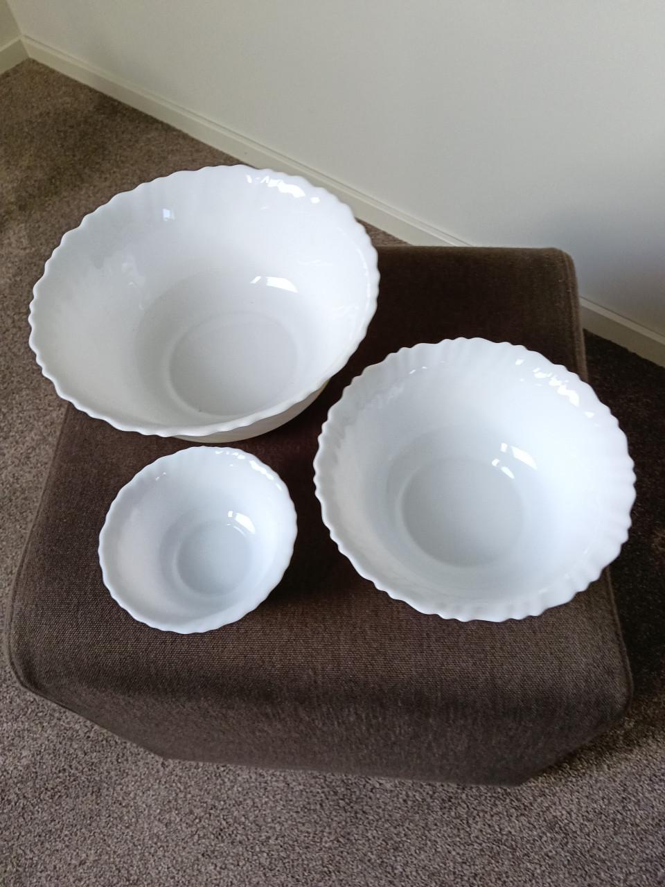 3 Arcopal schalen zgan