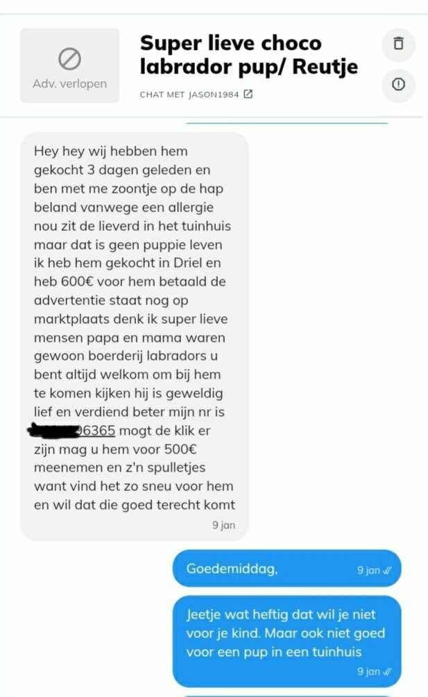 Waarschuwing pup te koop