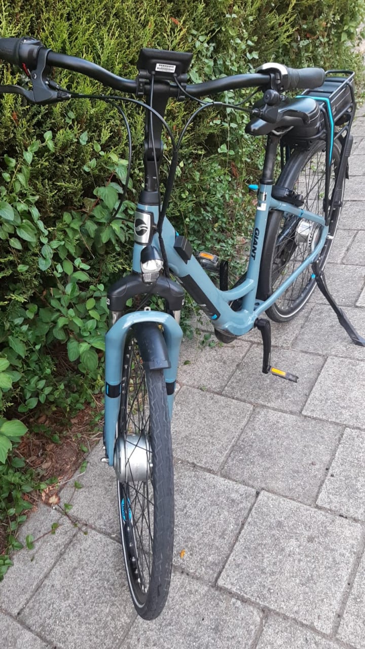 Giant Ease-E kleinere damesfiets!