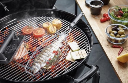2 BBQ VISHOUDERS