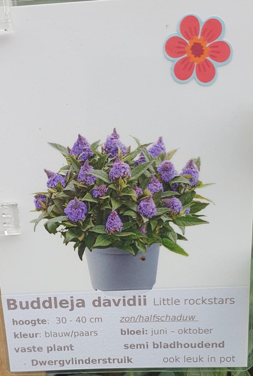 TUINPLANTEN Oudelande