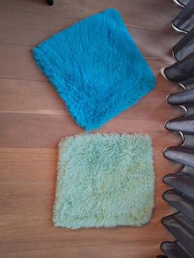 2x kussensloop leenbakker