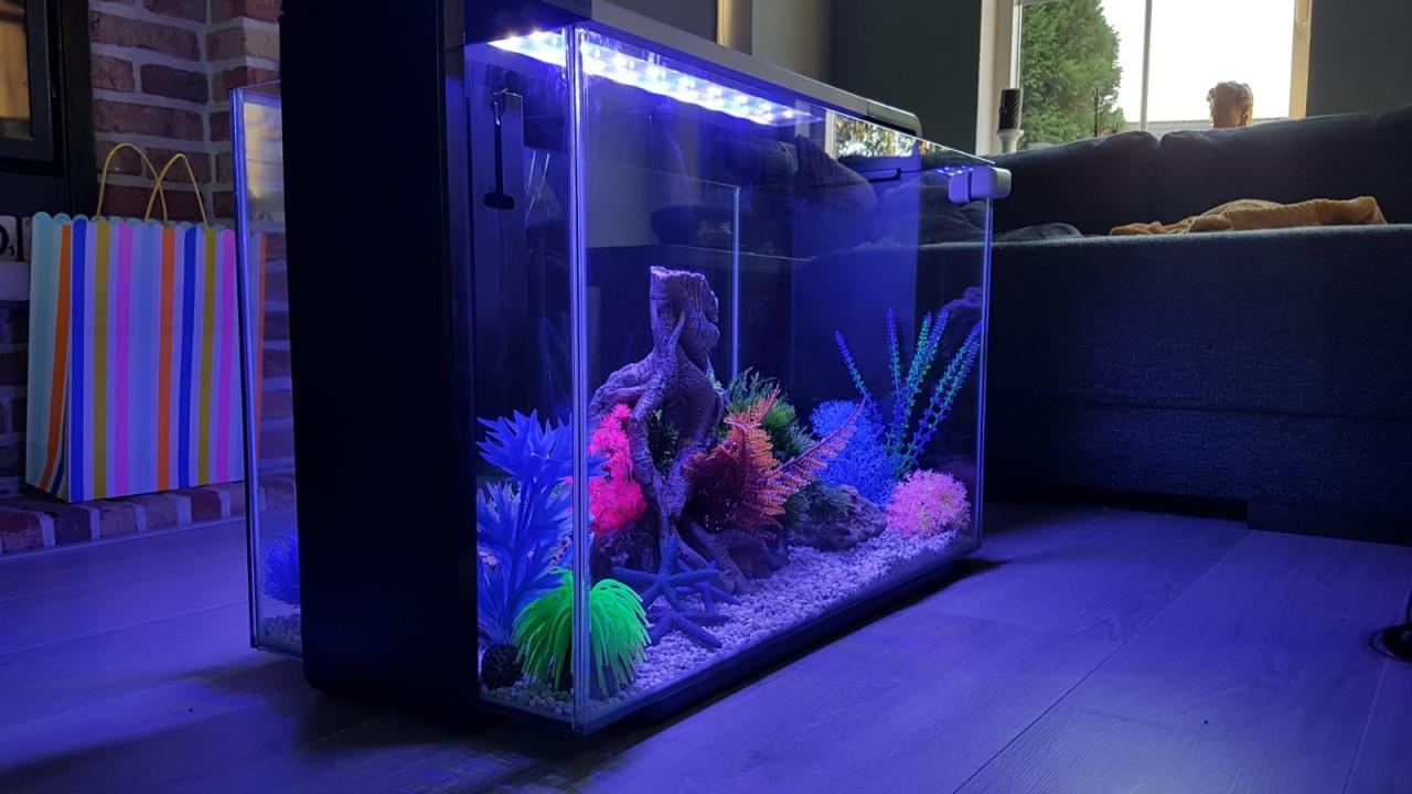 Superfish Home 110 Aquarium Black Inclusief Alle Toebehoren Te Koop