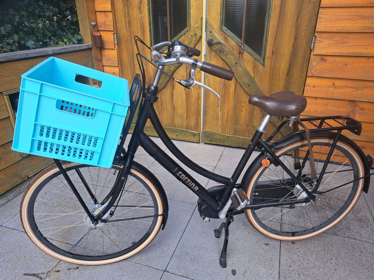 Meisjes fiets