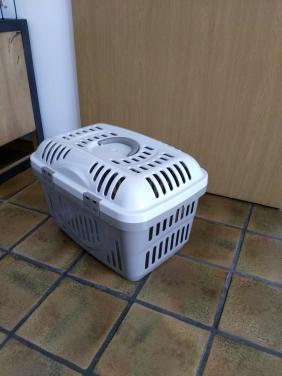 Vervoer mand kat