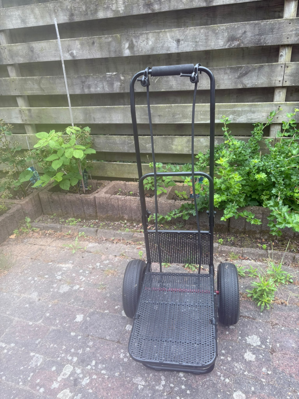 Isabella Trolley