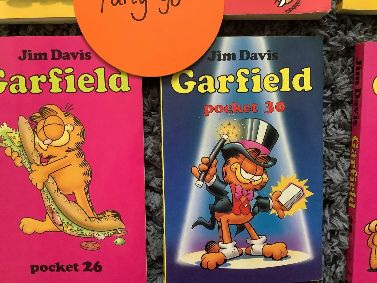Partij leuke Garfield pockets. ( partij 90)
