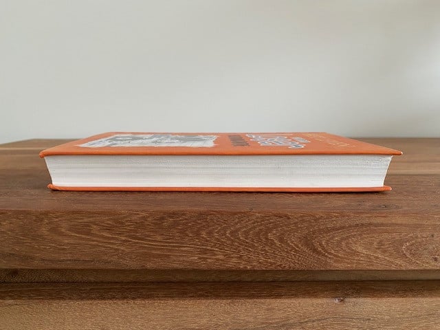 Het leven van een loser 9 | Flutvakantie | Jeff Kinney