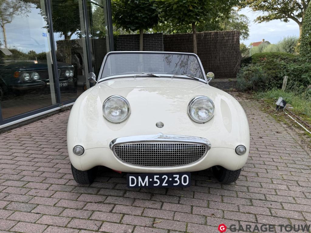 Austin Healey Onbekend sprite mk1 frogeye