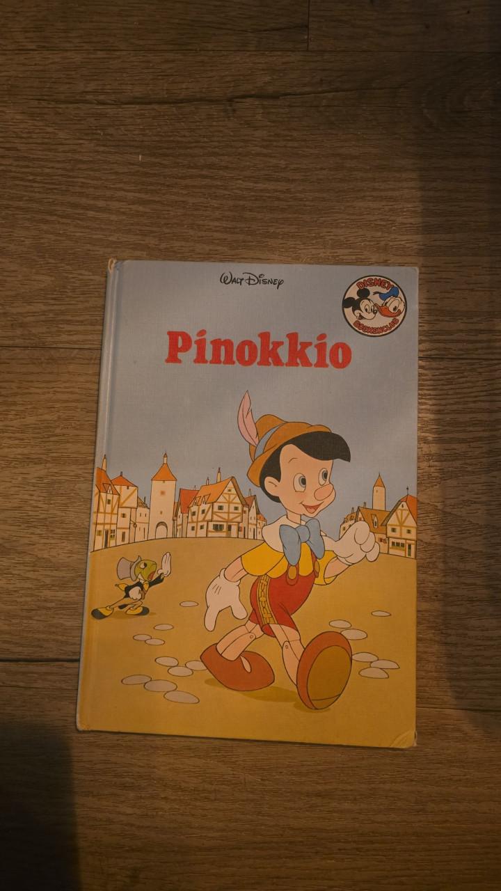 Pinokkio penceel winnende 89