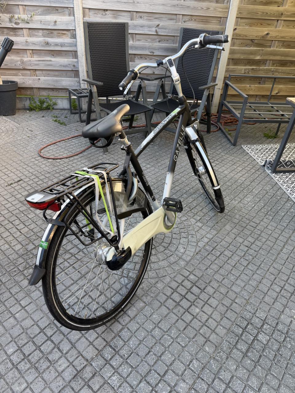Mooie gazelle chamonix plus