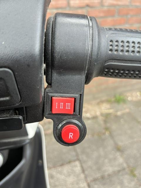 GEEN RIJBEWIJS ? NIET NODIG MET DEZE STOERE NIPPONIA PRIDE !