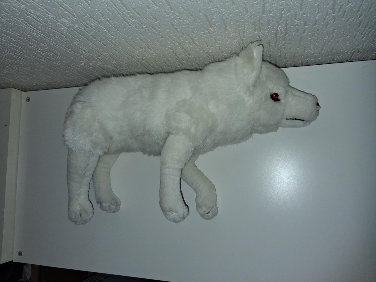 Game of Thrones Ghost direwolf knuffel
