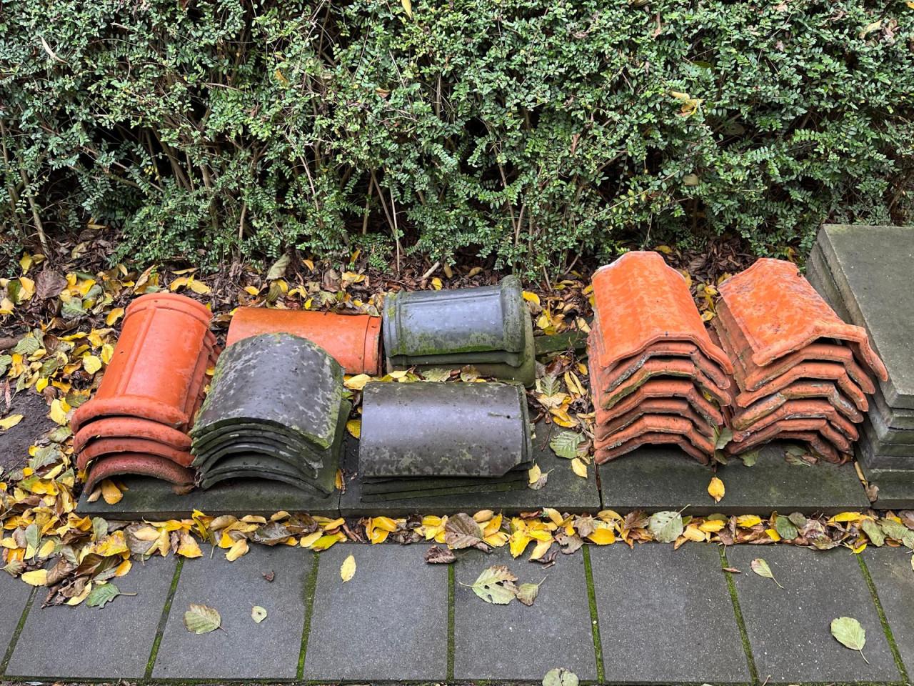 Nokvorsten (diverse types)