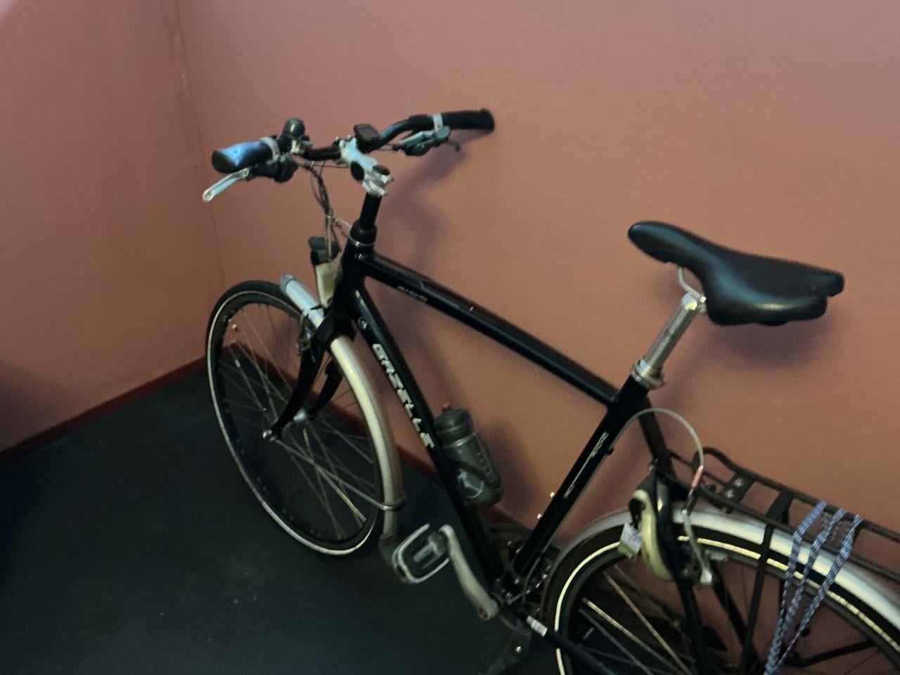 Gazelle Riacho sportieve heren fiets