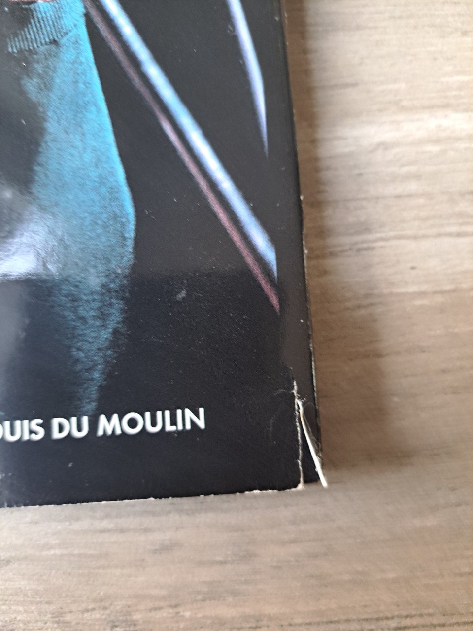 Tina Turner Simply the best van Louis Du Moulin