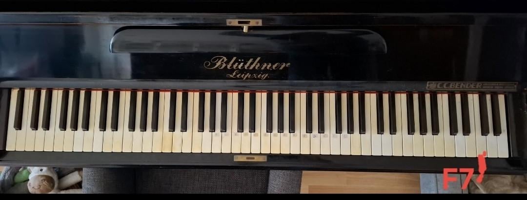Julius Blüthner Piano