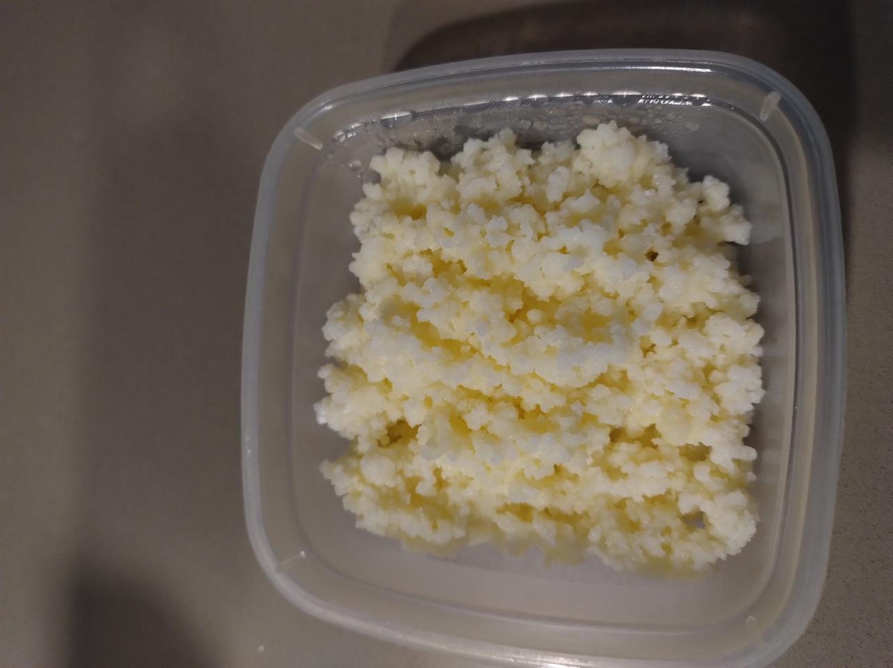 Kefir korrels om zelf lekkere yoghurt en/of karnemelk te maken!