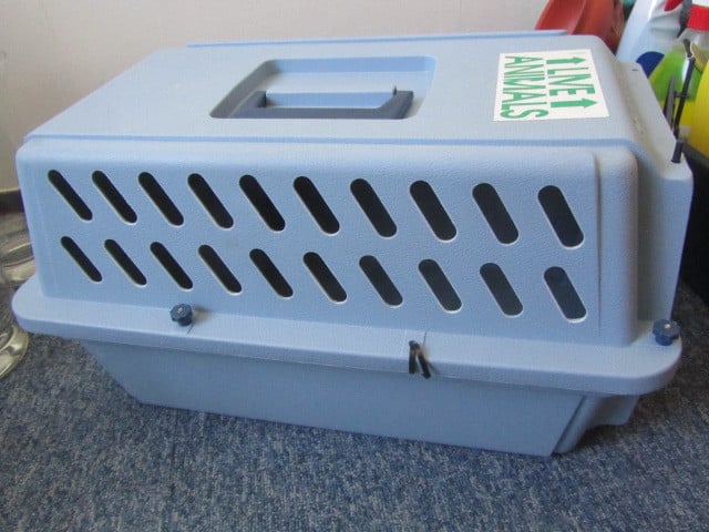 Kennel