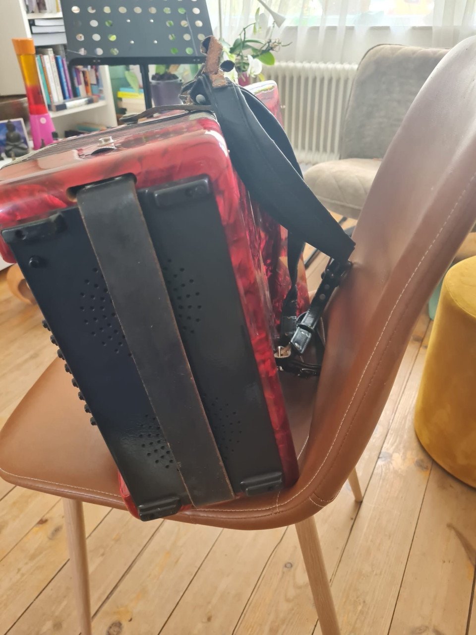 Accordeon Weltmeister