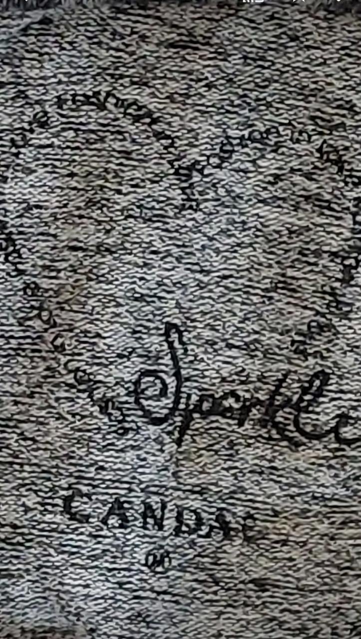 Zwart/grijze panter hoodysweater  mt M C&A