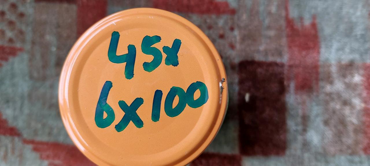 45 st PVK Houtschroeven staal 6x100