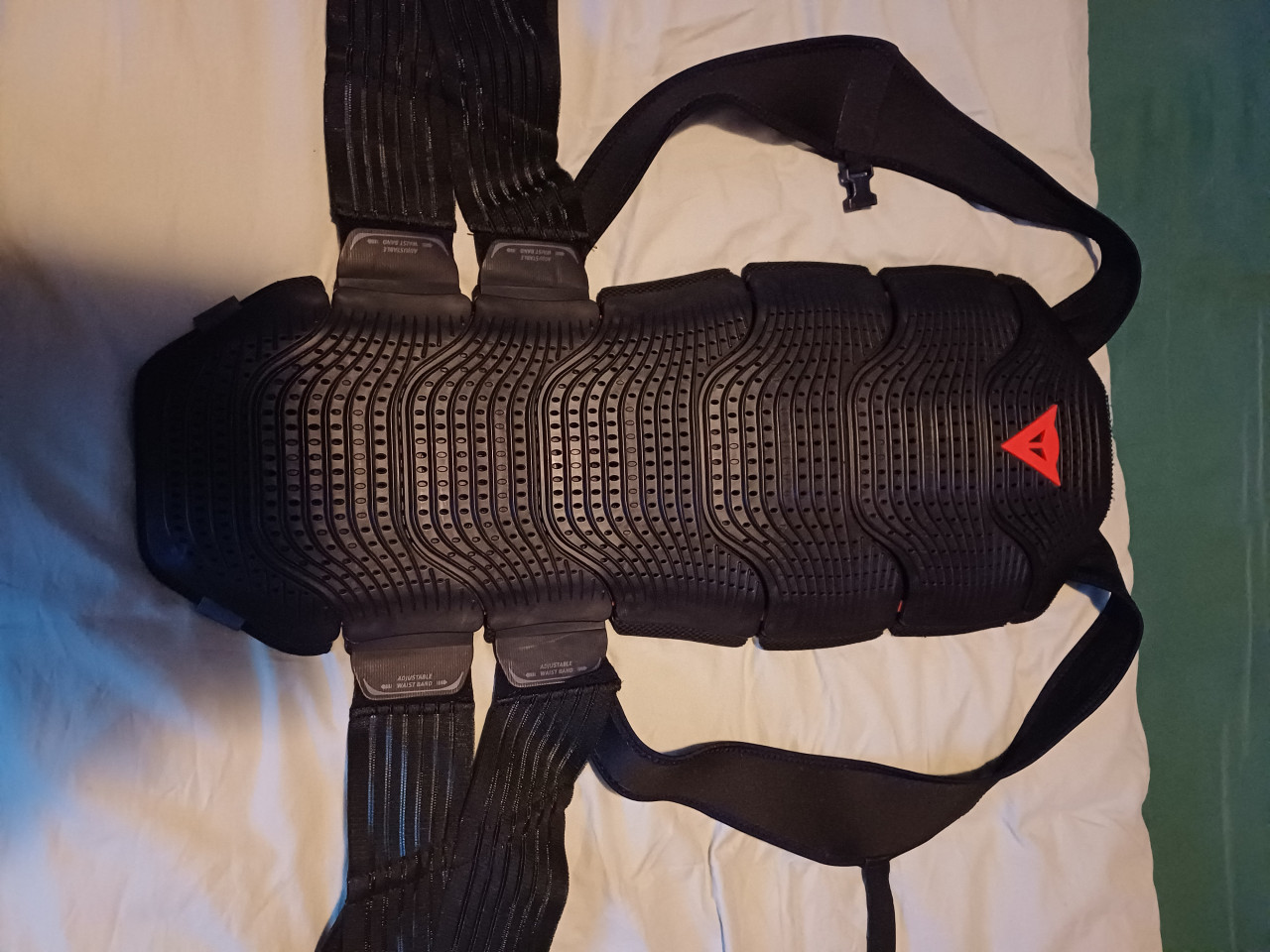 Dainese Manus D1 rugprotector