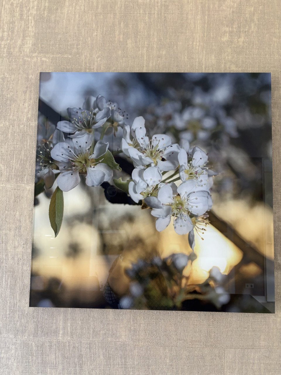 4 seizoens foto`s geprint op plexiglas