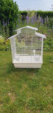 Vogelkooi
