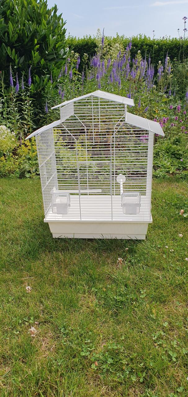 Vogelkooi