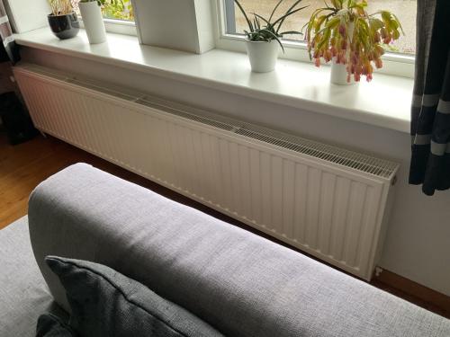 Radiator Radson wit 45x240 cm