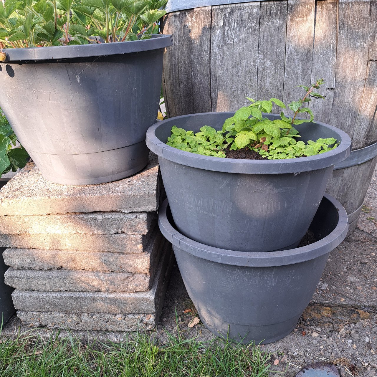 Plantenrek inclusief 4 potten