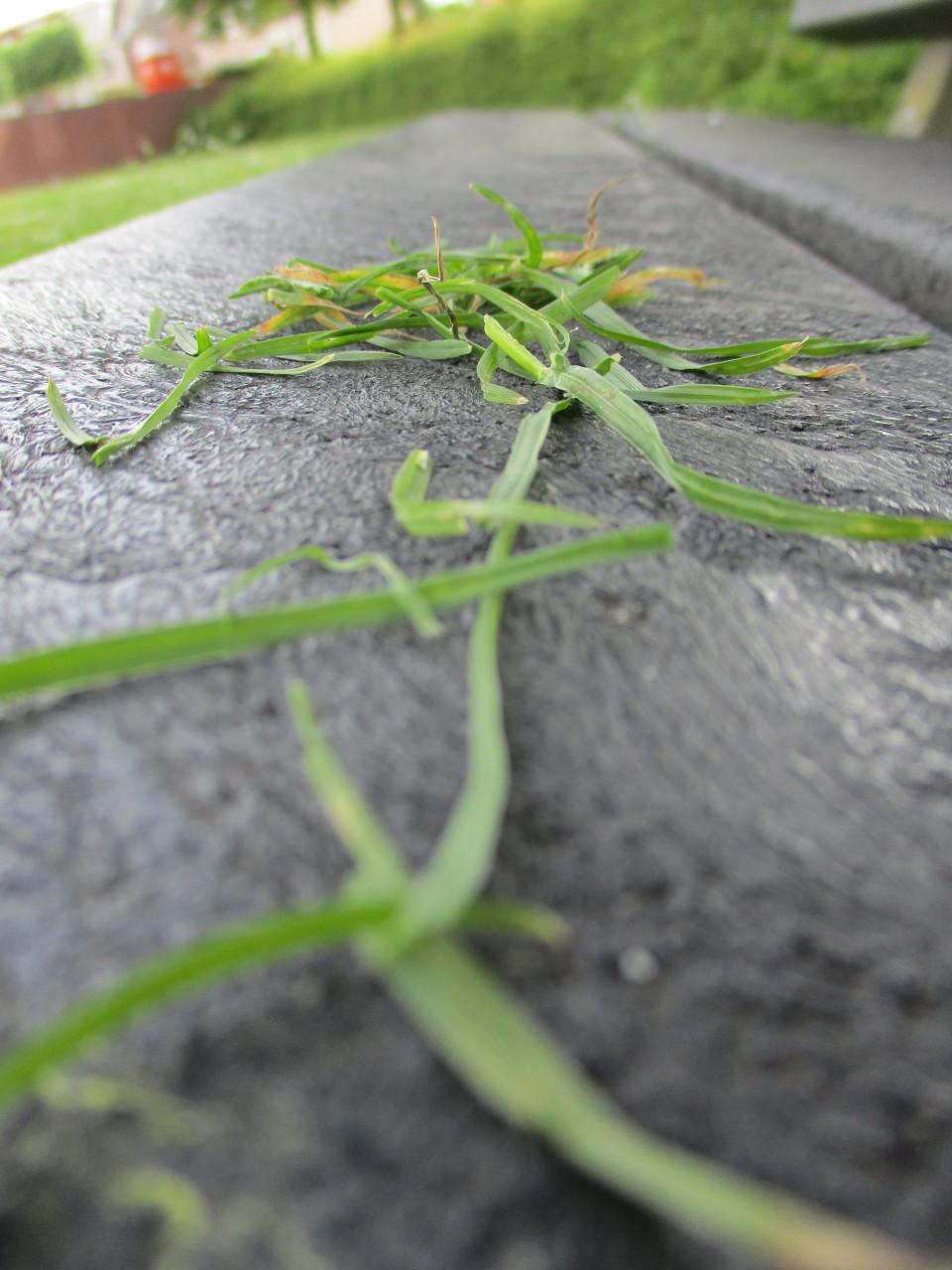 Fotoworkshop (groot) ouder en kind
