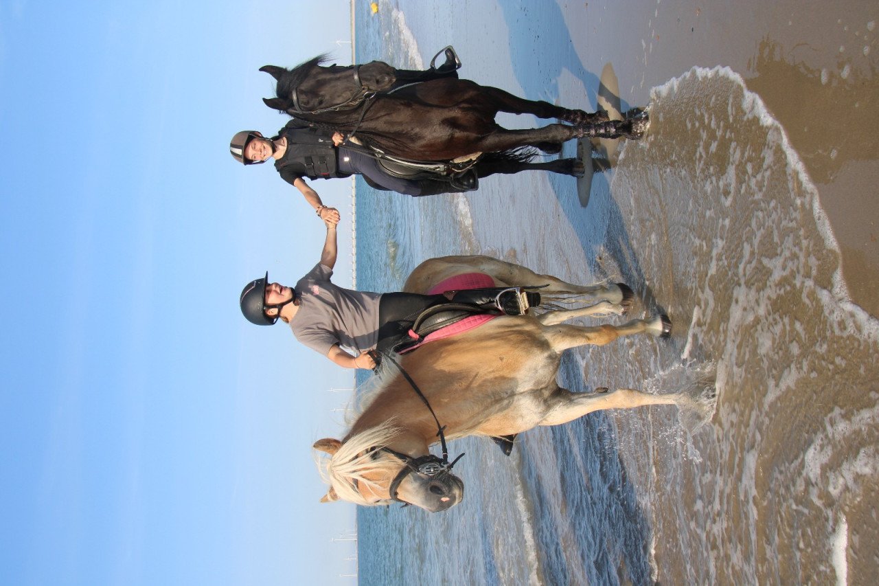 Ponykamp In Middelburg!