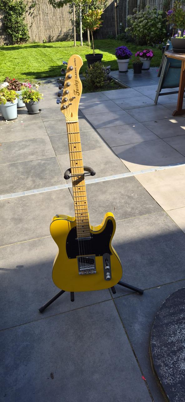 Fazley Electrische gitaar incl. Standaard