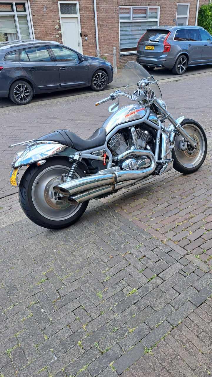 Ze start. Ze gromt. Ze wil asfalt. Geen excuses meer. HD V-Rod VRSCA