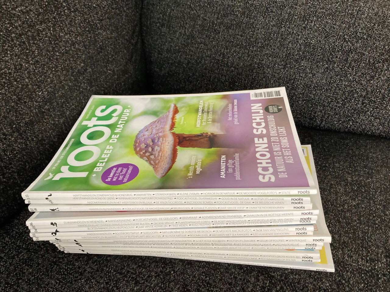 Gratis Roots maandblad 17x