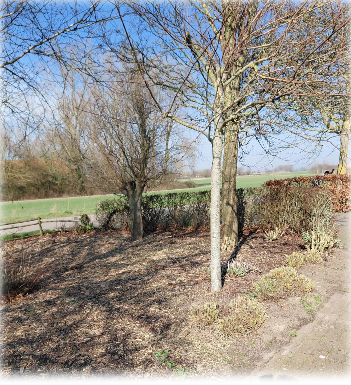 Voorjaars opkuis tuin + lichte herstel werkzaamheden