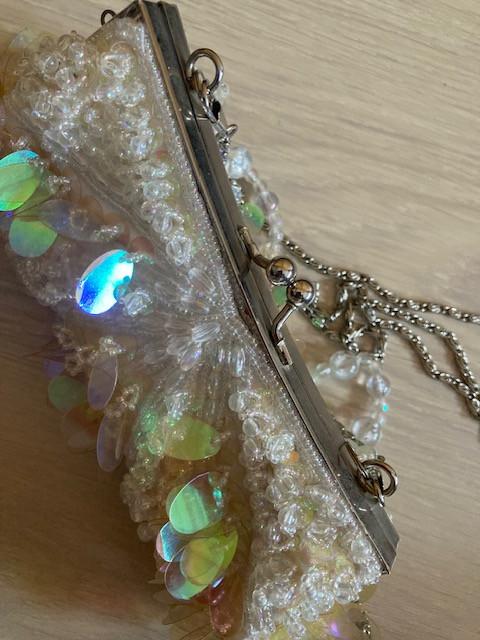 Bijzonder Soiree-tasje