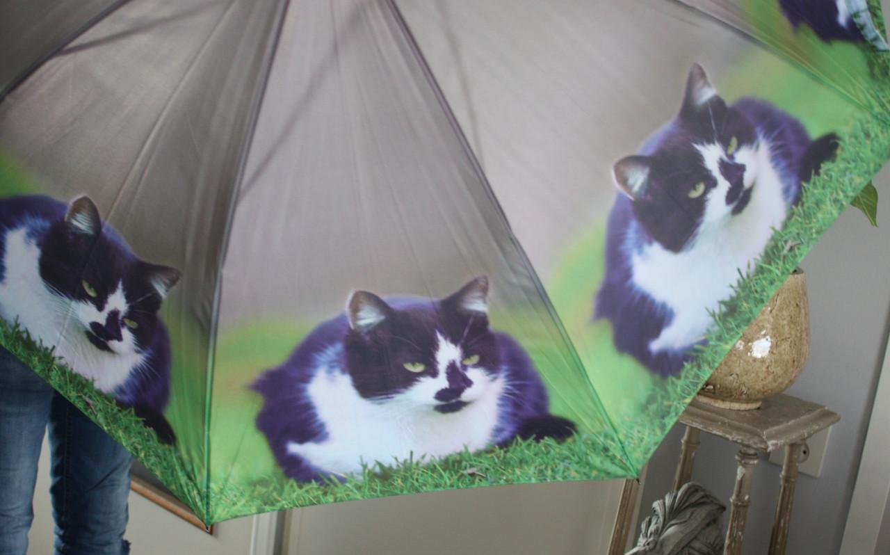 Paraplu met katten print