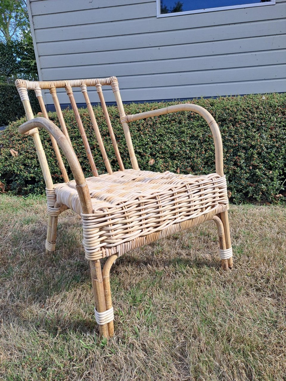 Rotan