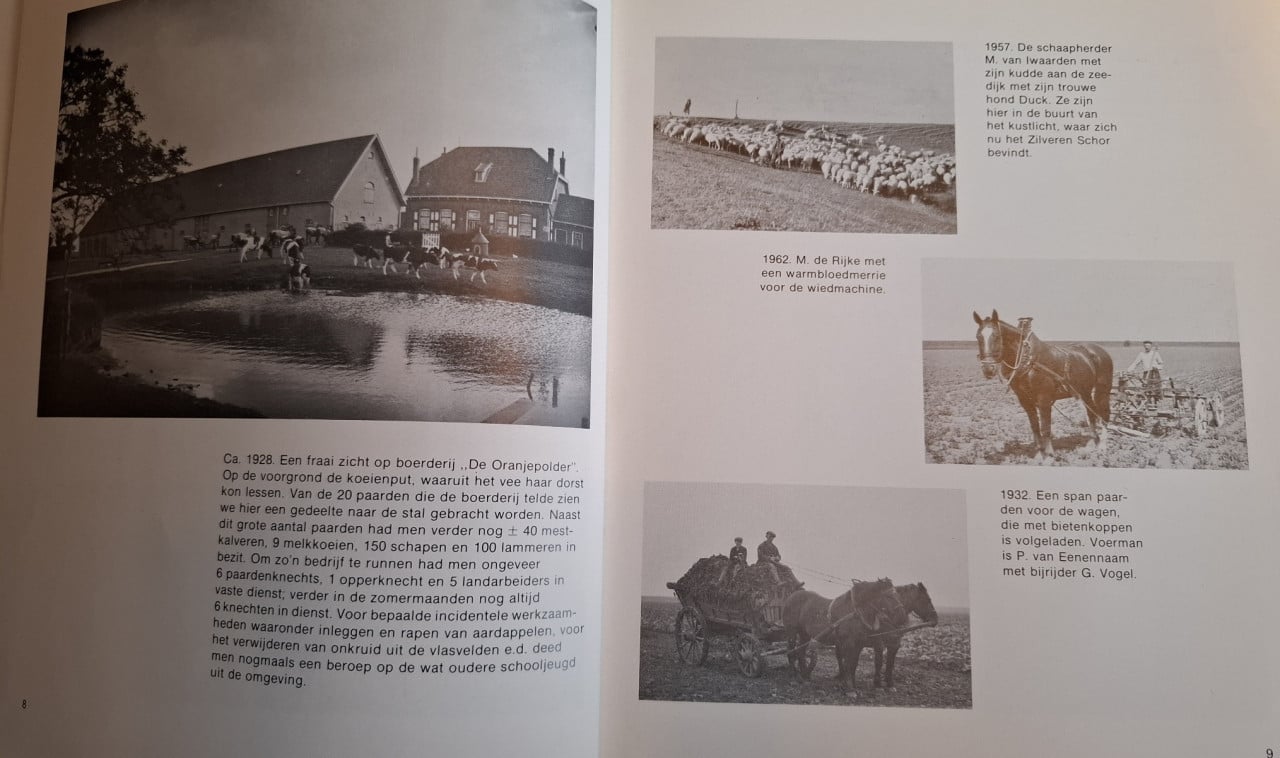 Moord en doodslag in Zeeuws-Vlaanderen tussen 1820 en 1930
