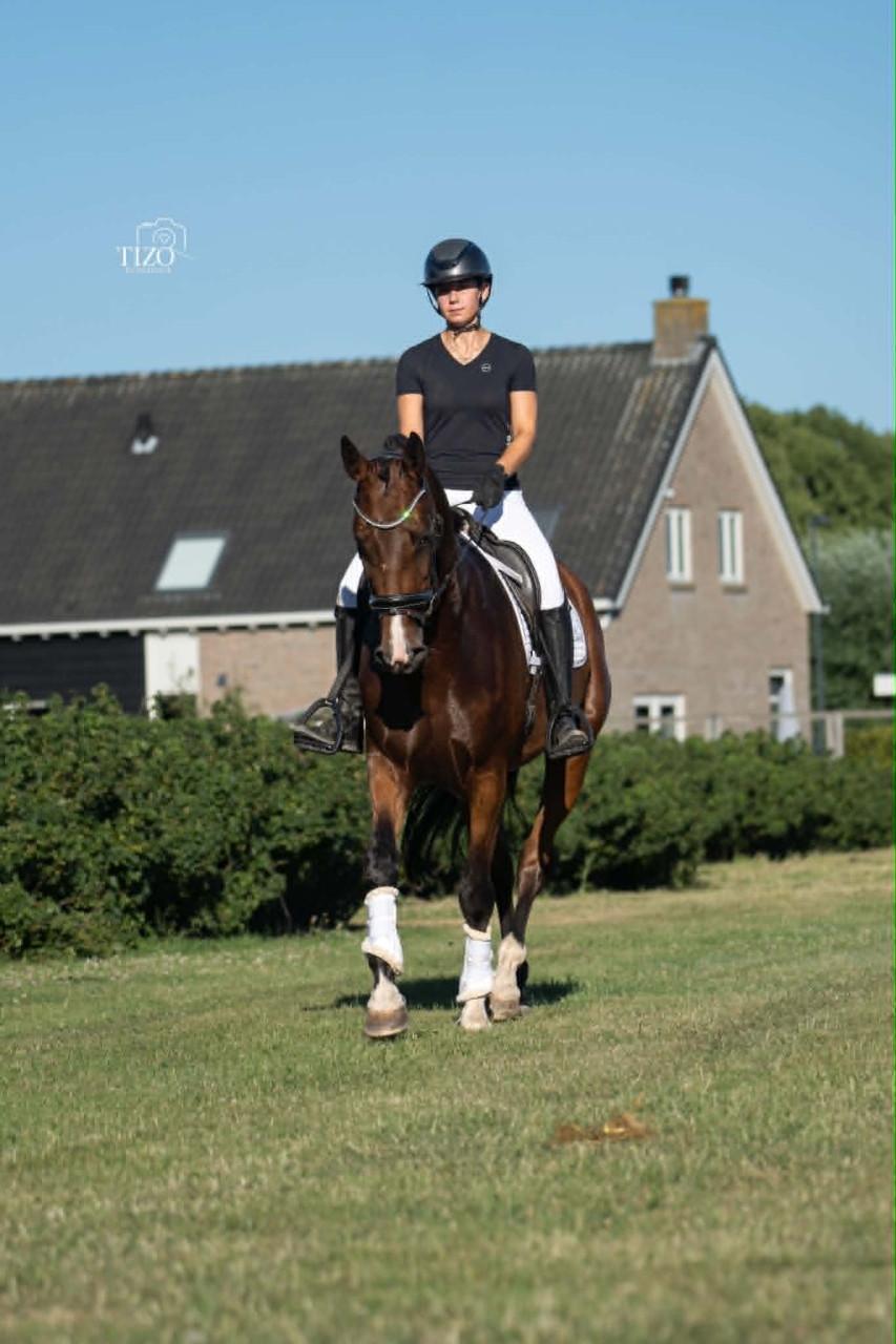 Nugtere en zeer makelijke merrie-5 jaar stokm.175-aangereden-  8500,=