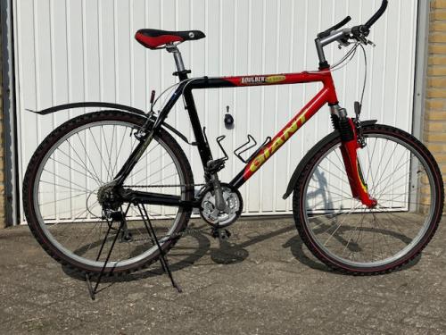 Giant Mountainbike