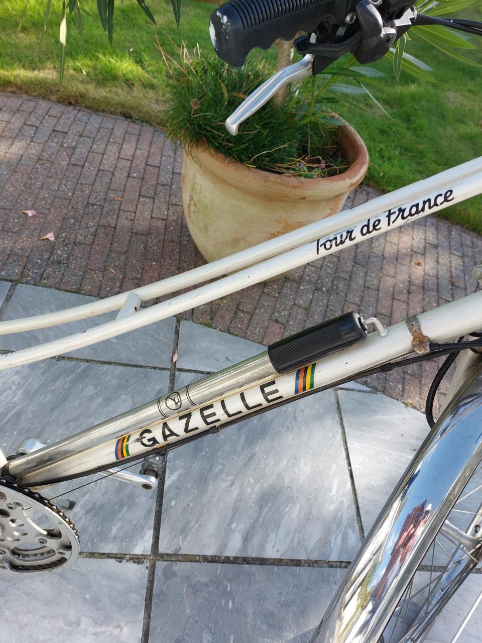 Electrische sportfiets en gratis fiets  mee te nemen.
