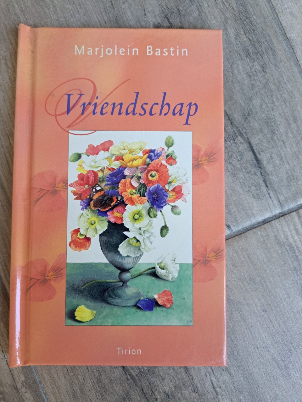 Vriendschap van Marjolein Bastin