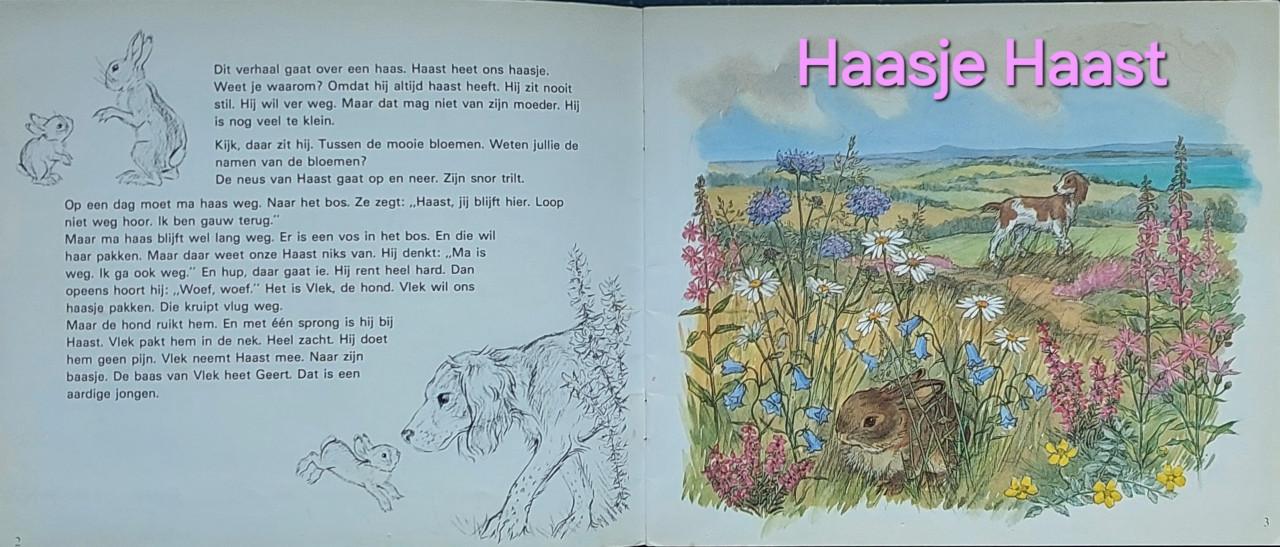 Molly Brett Kinderboekjes - 4 stuks