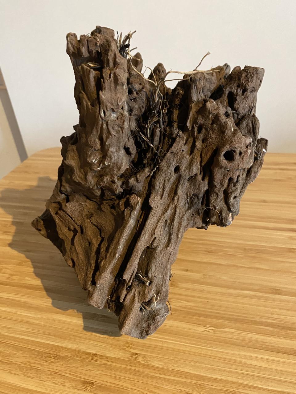 Mangrove hout voor in aquarium