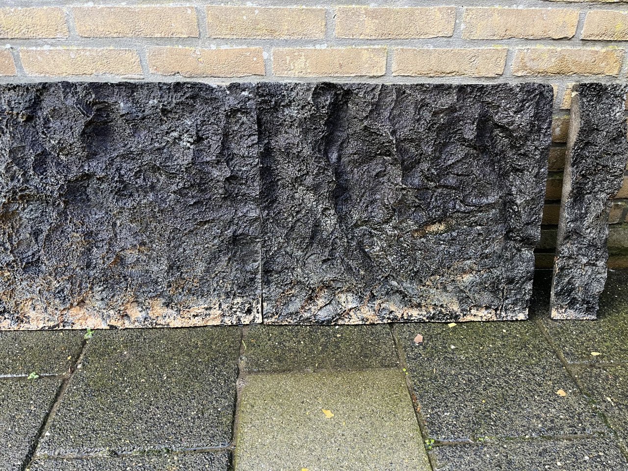 Te koop CO2 flessen 500 gram.