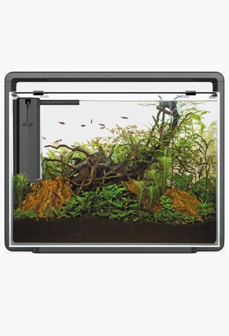 Aquarium home 40